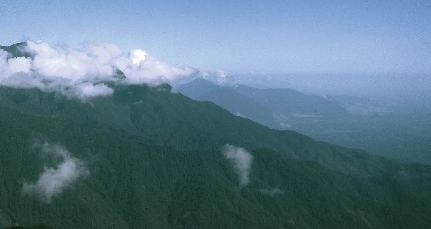 PNG Diwai Holdings - Owen Stanley Range New Guinea Papua.webp