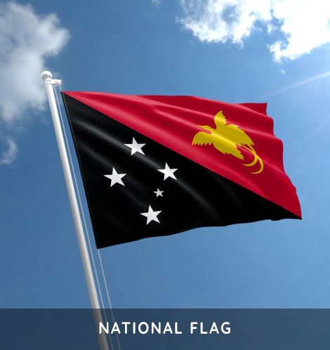 PNG Diwai Holdings - About 