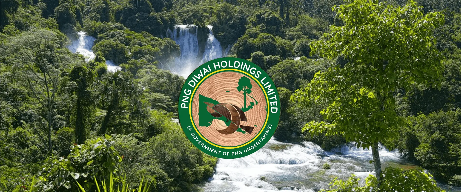PNG Diwai Holdings - Banner1 