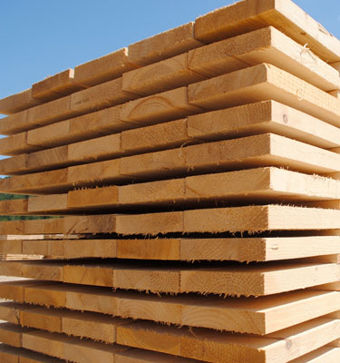 PNG Diwai Holdings - Timber 